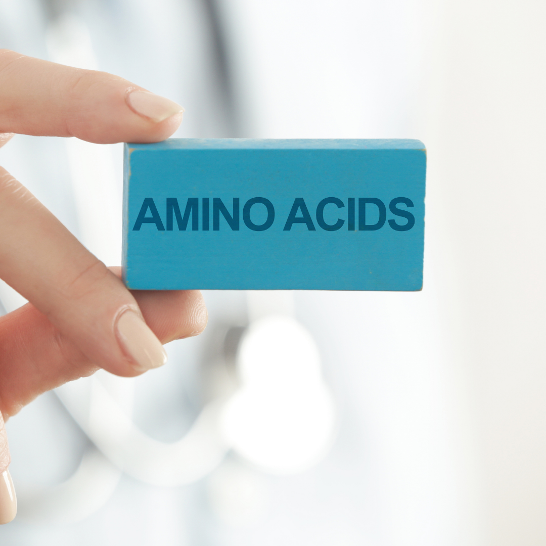 Amino acids and creatine