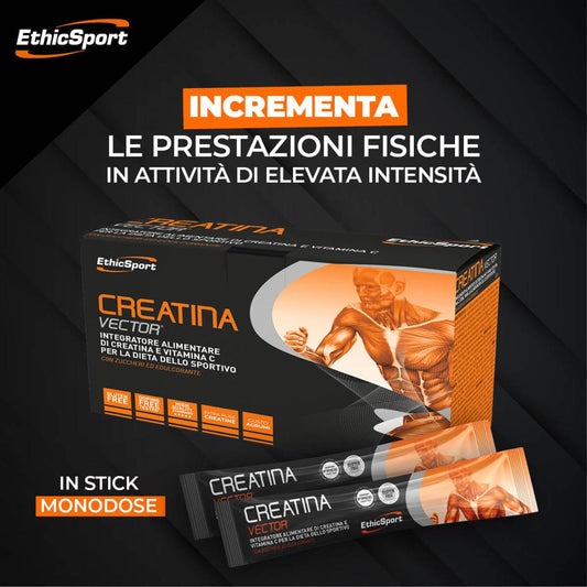 Creatina Vector 20 bs Ethicsport